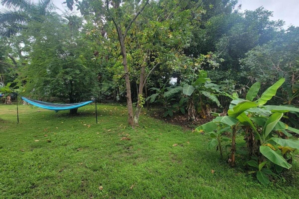 Private Pool Large Yard Minutes To Beach Or Ferry Villa Ceiba Exterior photo